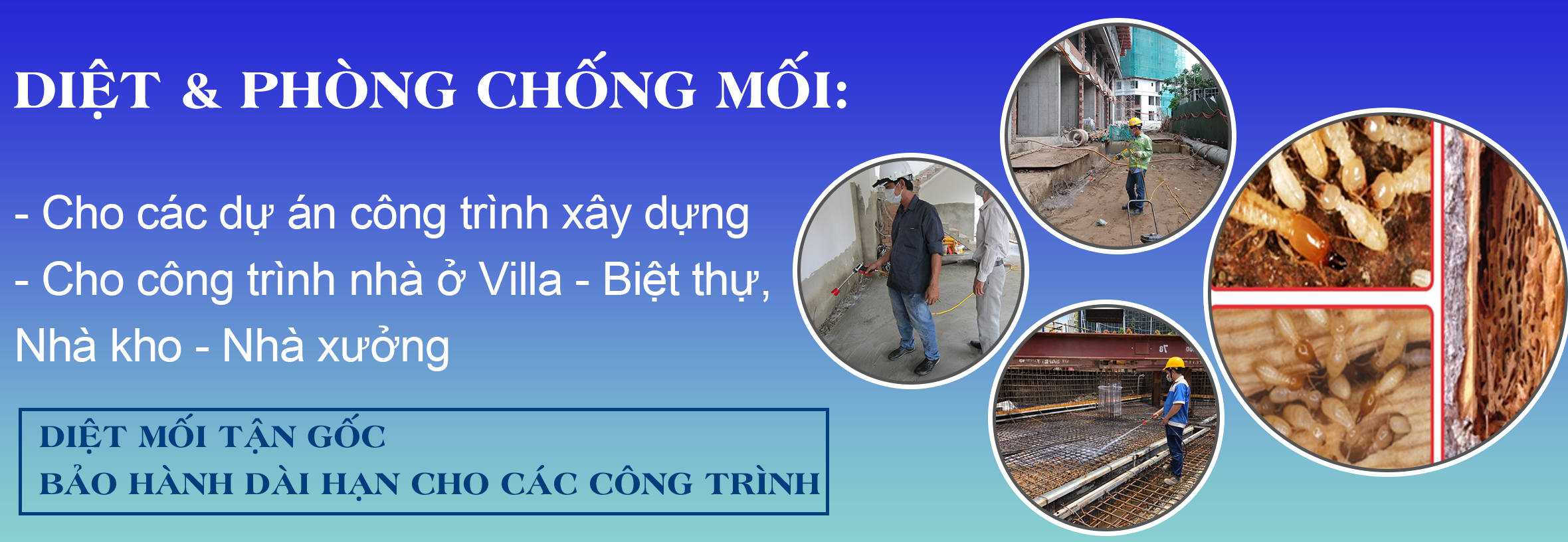 Thi công phòng chống Mối cho mọi công trình xây dựng