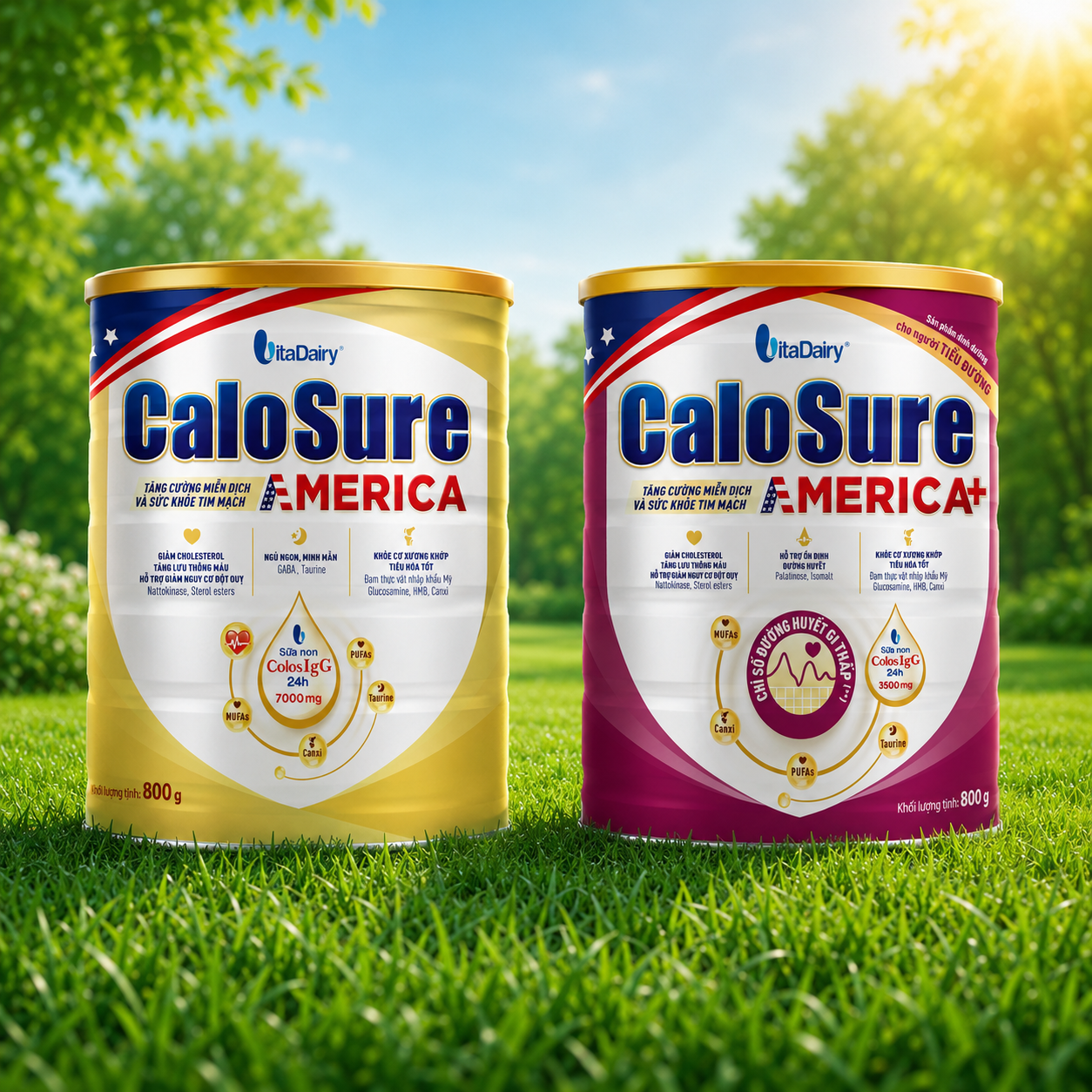 CaloSure America