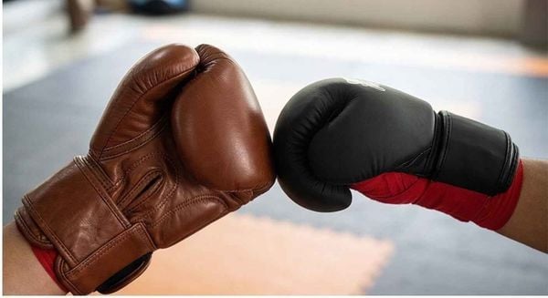 So sánh Fairtex BGV1 và Fairtex BGV14 – Nên chọn dòng nào cho việc tập luyện?