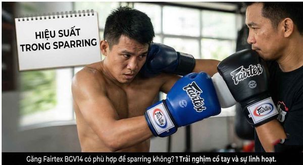 Găng Fairtex BGV14 Có Phù Hợp Để Sparring Không?