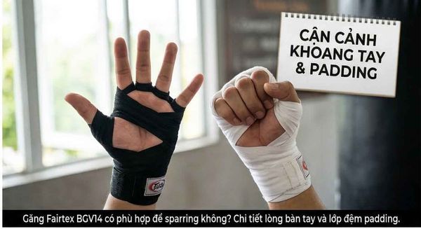 Găng Fairtex BGV14 Có Phù Hợp Để Sparring Không?