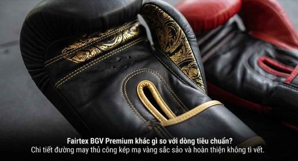 Fairtex BGV Premium khác gì so với dòng tiêu chuẩn?