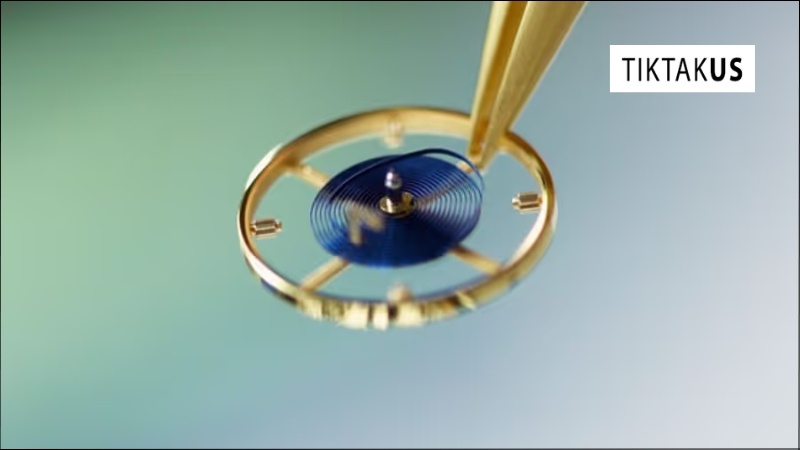 Diashock là cơ chế chống sốc độc đáo được phát triển bởi Seiko