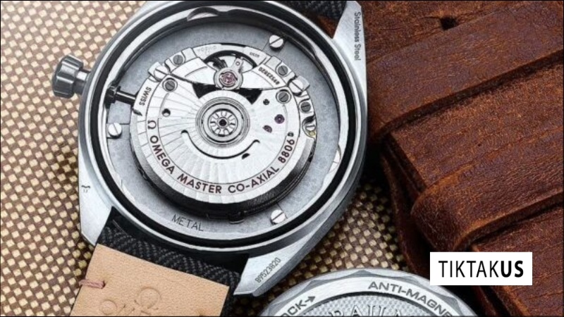 Lồng bảo vệ từ tính (Faraday Cage)