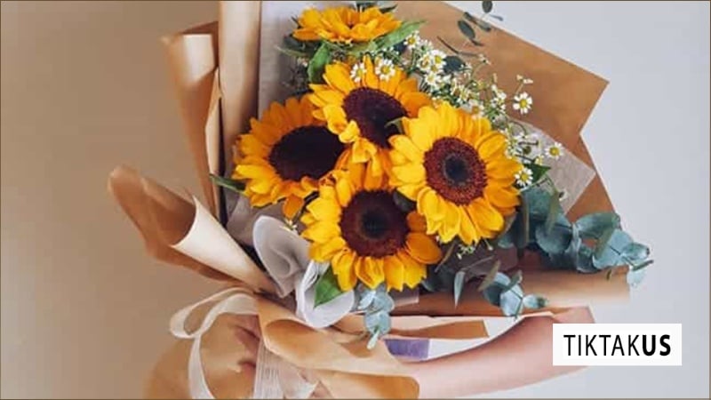 Hoa hướng dương tươi thắm