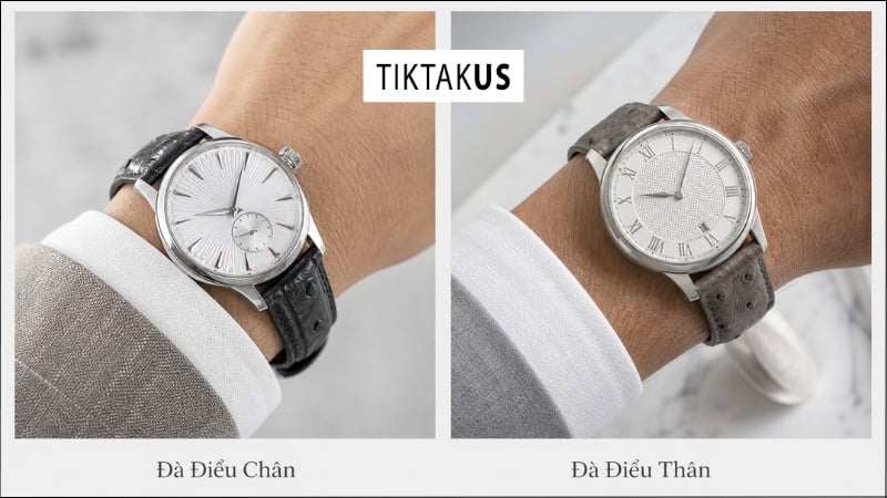 Lookbook đồng hồ Seiko Presage và Tissot Le Locle đang lắp dây da đà điểu trên tay người mẫu nam