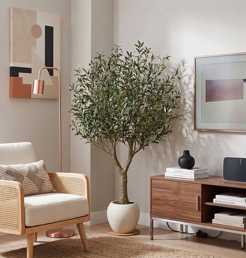 cây ô liu giả đặt cạnh sofa và tivi trong phòng khách