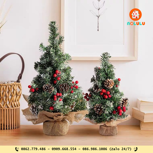 🎄 CÂY THÔNG NOEL – BIỂU TƯỢNG GIÁNG SINH NGẬP TRÀN SẮC MÀU 🎅  1. Cây thông Noel – linh hồn của mùa Giáng Sinh  Mỗi dịp Giáng Sinh về, hình ảnh cây thông Noel lại trở thành biểu tượng không thể thiếu trong mọi không gian – từ gia đình, quán cà phê, văn phòng đến trung tâm thương mại. Với sắc xanh tươi mát, cây thông mang ý nghĩa may mắn, bình an và hạnh phúc, tượng trưng cho sức sống bền bỉ giữa mùa đông lạnh giá.  ===> Tham khảo mẫu cây thông Noel cao cấp Nolulu tại: https://nolulu.com/collections/noel  2. Các loại cây thông Noel phổ biến hiện nay  🌿 Cây thông Noel giả  Chất liệu: nhựa PVC cao cấp, PE, kim tuyến hoặc phủ tuyết. Ưu điểm: bền, dễ lắp ráp, tái sử dụng nhiều năm, phù hợp mọi không gian. Kiểu dáng: cây thông đứng, thông mini để bàn, thông treo tường, thông full décor sẵn. ===> Tham khảo mẫu cây thông Noel cao cấp Nolulu tại: https://nolulu.com/collections/noel   🌲 Cây thông Noel thật  Nguồn gốc: thường nhập khẩu từ châu Âu, Đan Mạch hoặc Canada. Ưu điểm: hương thơm tự nhiên, cảm giác ấm áp, sang trọng. Nhược điểm: giá cao, thời gian sử dụng ngắn (2–4 tuần). ===> Tham khảo mẫu cây thông Noel cao cấp Nolulu tại: https://nolulu.com/collections/noel   🎁 Cây thông Noel mini  Kích thước nhỏ gọn từ 20–60cm, phù hợp bàn làm việc, quầy lễ tân, góc học tập. Có thể trang trí bằng đèn led, nơ đỏ, quả châu, chuông nhỏ, tạo không khí Noel ấm áp mà không chiếm diện tích. ===> Tham khảo mẫu cây thông Noel cao cấp Nolulu tại: https://nolulu.com/collections/noel   3. Cách chọn cây thông Noel phù hợp  Không gian nhỏ: chọn thông mini hoặc thông treo tường. Phòng khách, sảnh lớn: chọn thông cao 1m5–2m2 kèm phụ kiện trang trí. Màu sắc: thông xanh truyền thống hoặc thông phủ tuyết, thông trắng bạc mang phong cách Bắc Âu hiện đại. ===> Tham khảo mẫu cây thông Noel cao cấp Nolulu tại: https://nolulu.com/collections/noel   4. Gợi ý trang trí cây thông Noel đẹp Chủ đề đỏ – vàng: truyền thống, ấm áp. Chủ đề bạc – xanh dương: sang trọng, hiện đại. Chủ đề pastel – hồng nhạt: phù hợp cho không gian trẻ trung, quán cà phê, shop thời trang.  Kết hợp thêm đèn led, dây kim tuyến, quả châu, ông già Noel nhỏ, bạn sẽ có ngay một góc Giáng Sinh lung linh, thu hút mọi ánh nhìn. ===> Tham khảo mẫu cây thông Noel cao cấp Nolulu tại: https://nolulu.com/collections/noel   5. Mua cây thông Noel ở đâu uy tín?  Hiện nay, Nolulu cung cấp đa dạng các mẫu cây thông Noel giao cao cấp , với:  Kích thước từ 30cm đến 3m, phù hợp mọi không gian. Nhiều mẫu đã trang trí sẵn hoặc tự décor theo yêu cầu. Giá tốt – giao hàng nhanh toàn quốc trong mùa Noel.  👉 Liên hệ ngay để chọn cây thông Noel đẹp nhất cho mùa Giáng Sinh năm nay! Tham khảo mẫu cây thông Noel cao cấp Nolulu tại: https://nolulu.com/collections/noel  📞 Liên hệ ngay với NOLULU để được tư vấn & báo giá 📍 Xưởng Sản Xuất & Tổng Kho: 312/19 Hiệp Thành 13, P. Hiệp Thành, Q.12, TP.HCM 📍 Hà Nội: 21 Cửa Cuồng, Tiền Yên, Hoài Đức, Hà Nội ⏰ Giờ mở cửa: 8h00 – 17h00 (Thứ 2 – Thứ 7) 📞 Hotline: 0862.799.486 | 0909.668.554 | 086.986.1086 (Zalo 24/7) 📧 Email: nolulu.com@gmail.com 🌐 Website: nolulu.com  #nolulu #câythôngNoel #câythôngNoelgiả #câythôngNoelmini #câythôngNoeltrangtrí #trangtríNoel2025