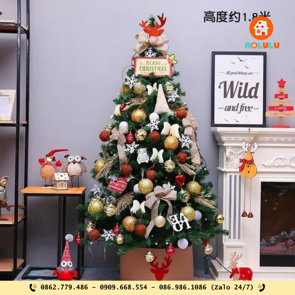 🎄 CÂY THÔNG NOEL – BIỂU TƯỢNG GIÁNG SINH NGẬP TRÀN SẮC MÀU 🎅