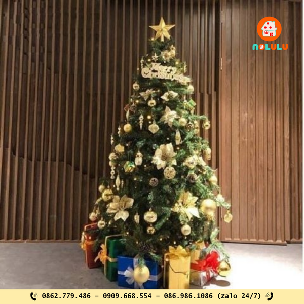 🎄 CÂY THÔNG NOEL – BIỂU TƯỢNG GIÁNG SINH NGẬP TRÀN SẮC MÀU 🎅