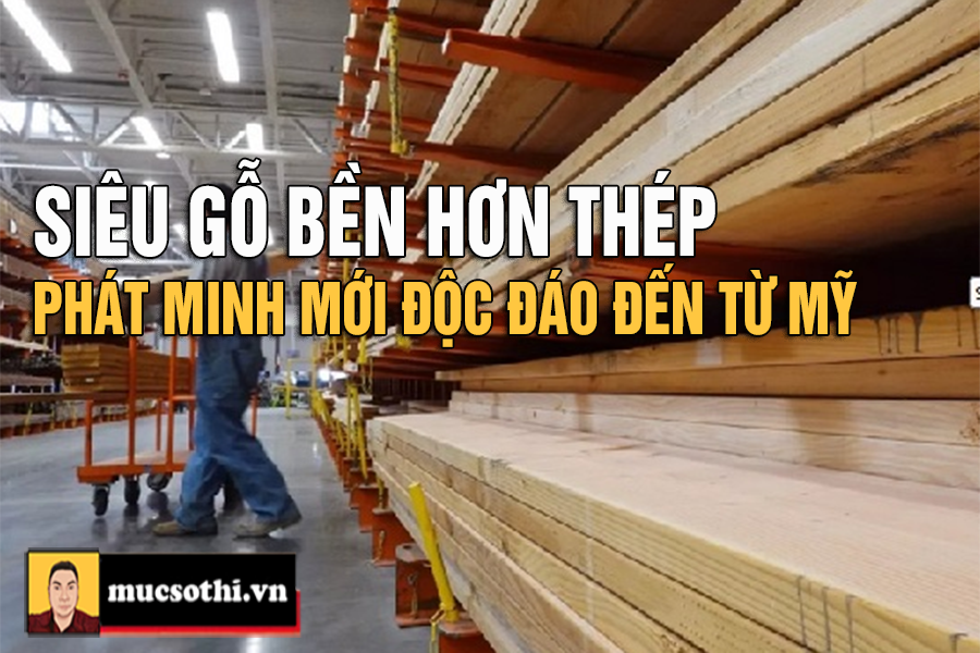 Kinh Ngạc Với Siêu Gỗ 