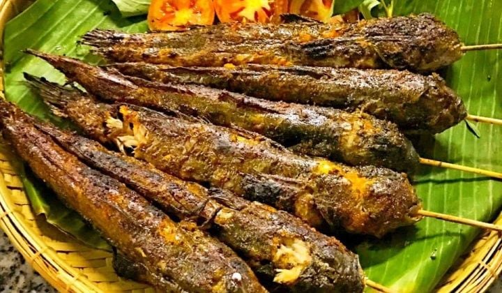 cá thòi lòi biển