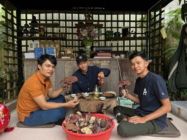 Có những vị khách đến với Nấm Lim Xanh rừng của tụi mình…