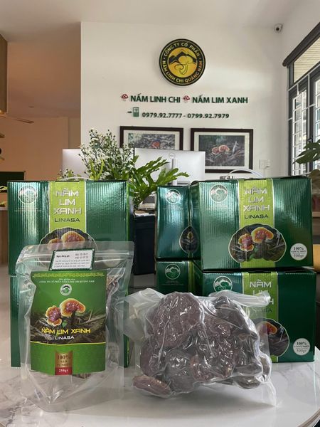 Nấm lim xanh & nấm linh chi – Món quà cho người bận rộn nghĩ đến sức khỏe