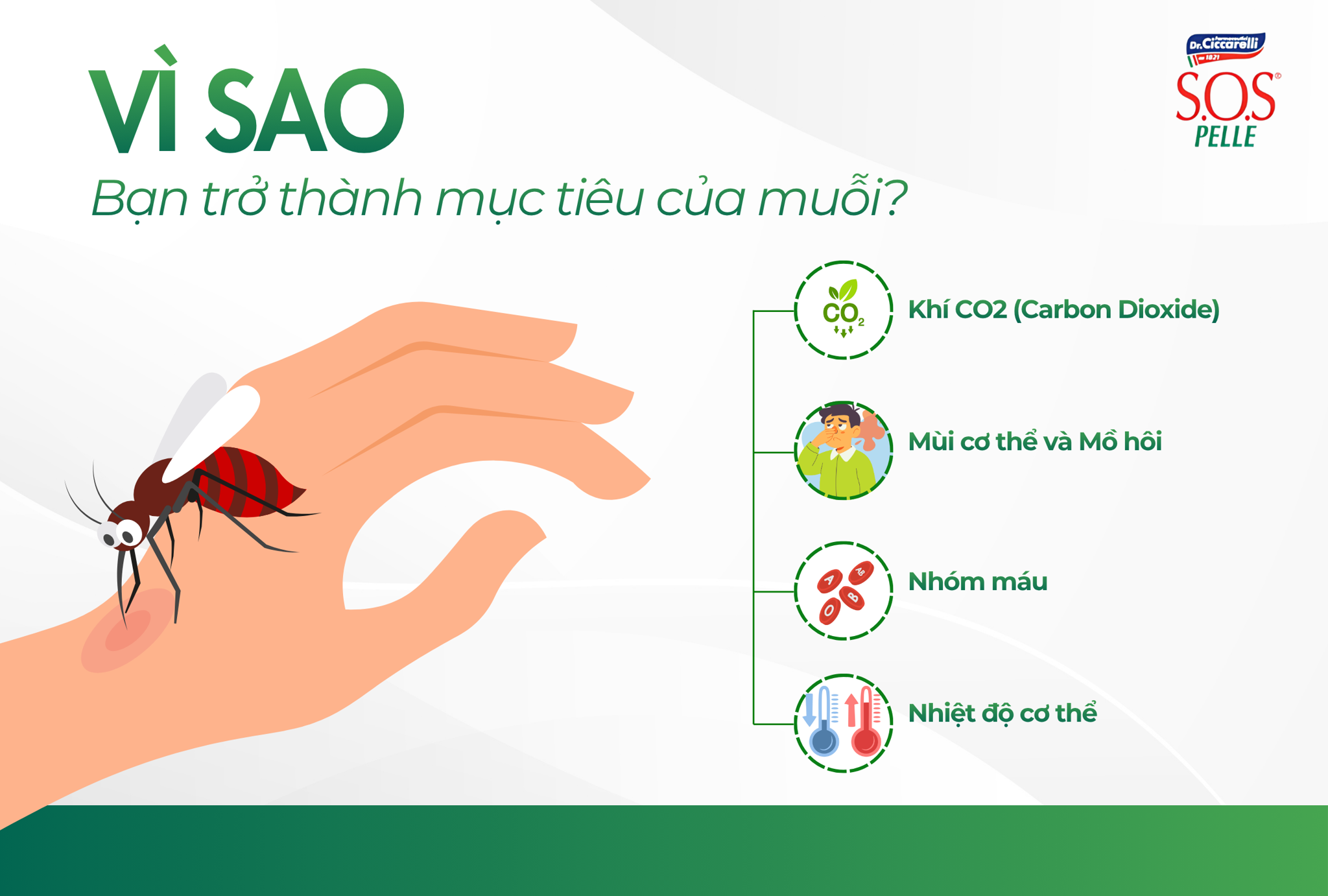 Vì sao bạn trở thành mục tiêu của muỗi