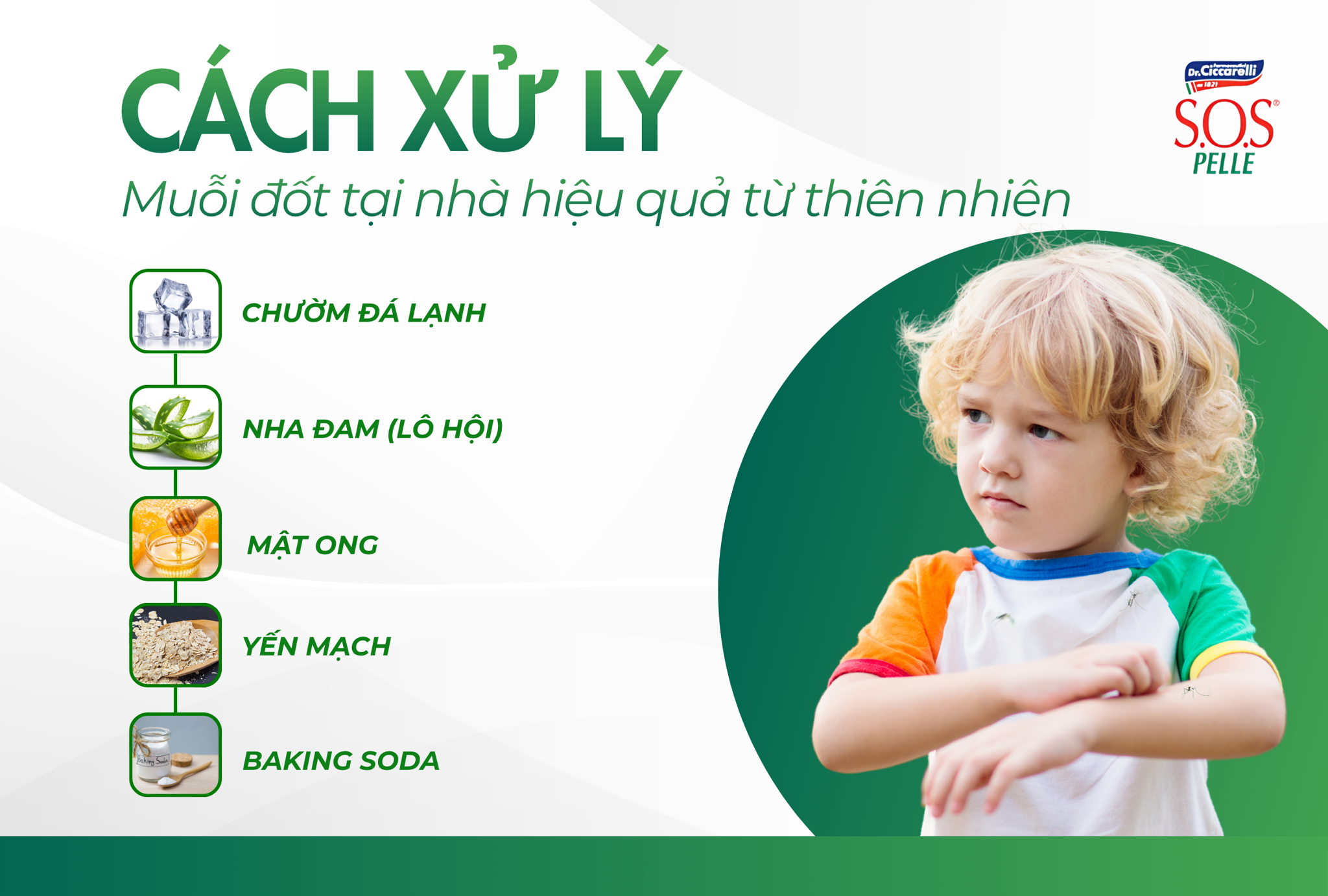 Cách xử lý muỗi đốt tại nhà hiệu quả từ thiên nhiên