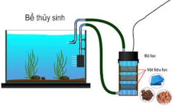 Những yếu tố làm nên hồ thủy sinh mini đẹp bền theo thời gian