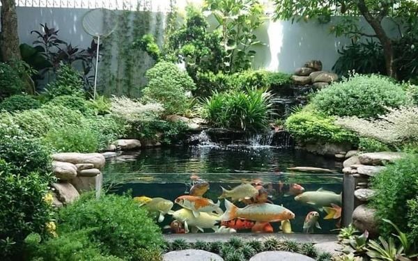 Bể cá thủy sinh ngoài trời là gì? Có gì khác bể trong nhà?