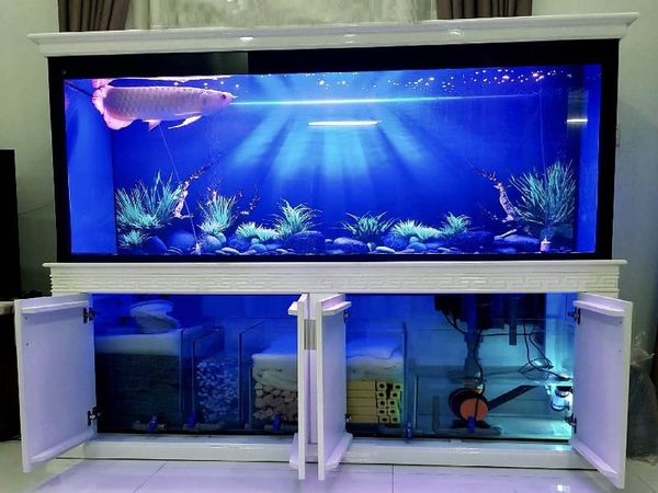 Độ dày kính và vật liệu bể cá Rồng