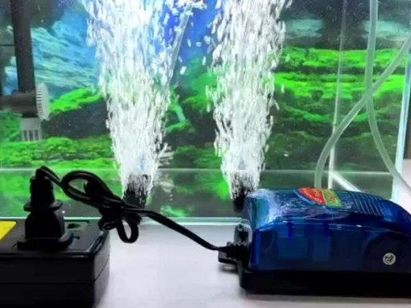 Máy sủi oxy cho bể cá