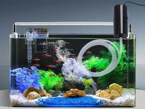 Máy sủi oxy cho bể cá