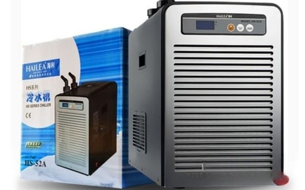 5 Lý do nên biết trước khi sử dụng máy làm lạnh nước Hailea