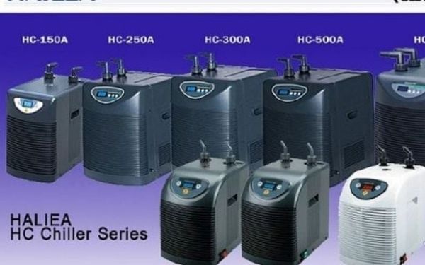 5 Lý do nên biết trước khi sử dụng máy làm lạnh nước Hailea