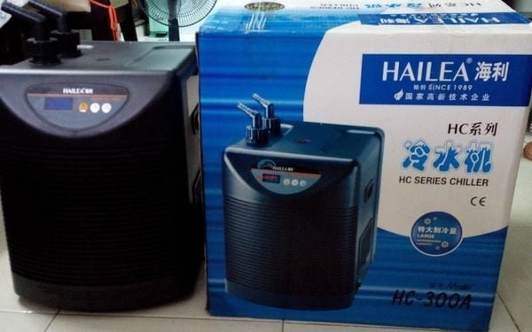 5 Lý do nên biết trước khi sử dụng máy làm lạnh nước Hailea