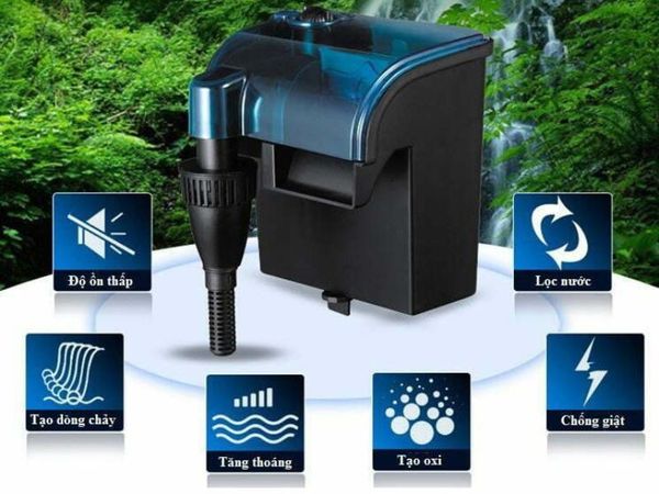 Top 5+ Máy lọc nước bể cá tốt nhất hiện nay