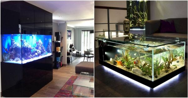 Góc tối, thiếu ánh sáng