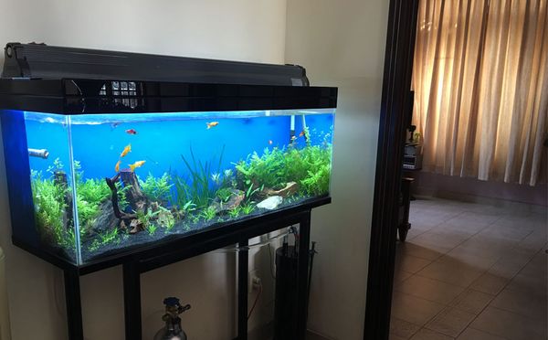 Nơi nhiều người qua lại hoặc gần cửa ra vào