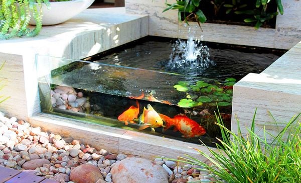 Nơi có ánh nắng trực tiếp