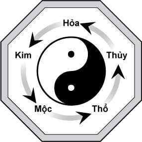 chon ca vat theo phong thuy cho nam dep