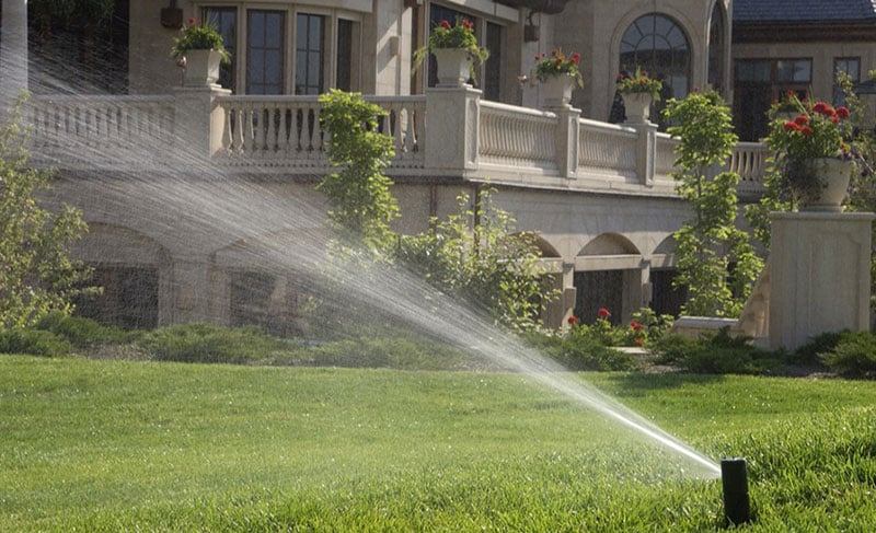 bec-tuoi-co-rotor-cho-san-vuon-rong-lon