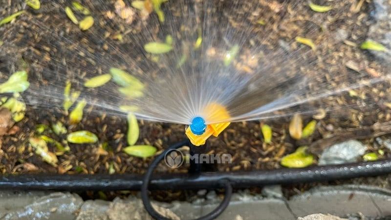 chon-bec-tuoi-theo-ban-kinh-tuoi