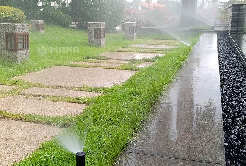 tham-co-xanh-mat-khi-duoc-tuoi-tu-dong