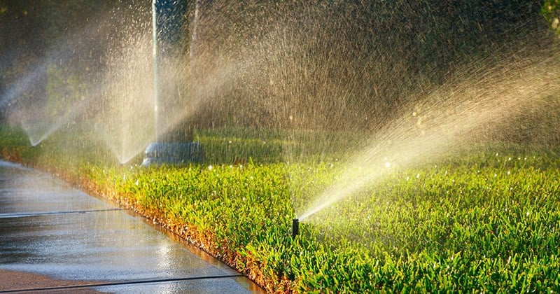 he-thong-tuoi-co-tu-dong-dang-phun