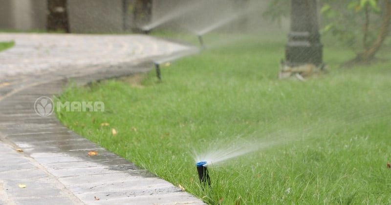 bec-tuoi-co-san-vuon