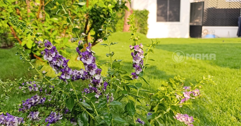 mot-goc-san-vuon-biet-thu-2