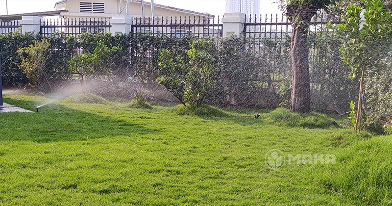 phan-chia-khu-vuc-tuoi