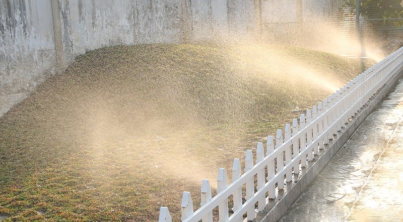 tham-co-khi-duoc-tuoi-tu-dong