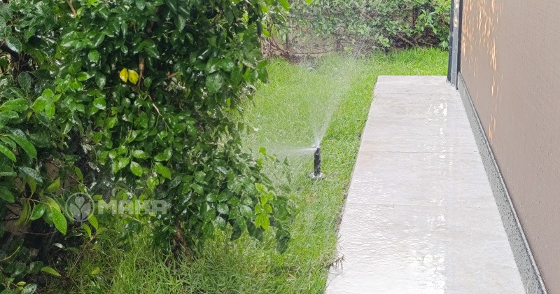 tuoi-mang-co-tai-khong-gian-hep