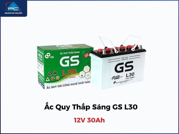 Bình ắc quy 12V 30Ah GS