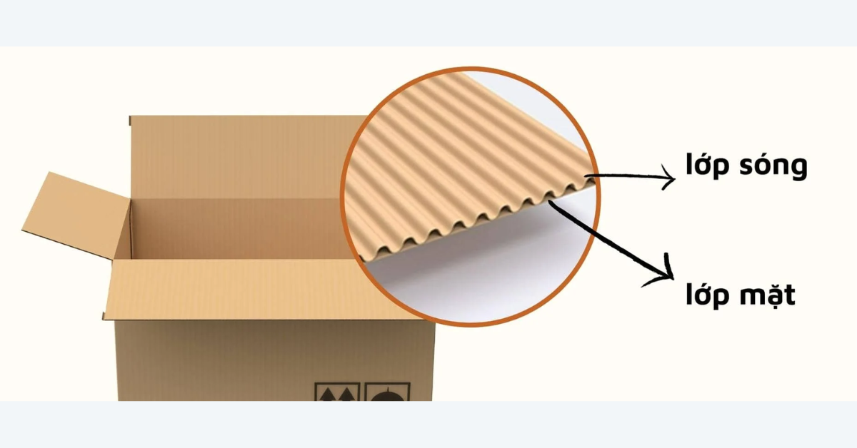 Cấu tạo và đặc điểm của giấy carton 2 lớp