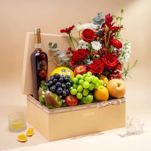 giỏ quà rượu vang trái cây