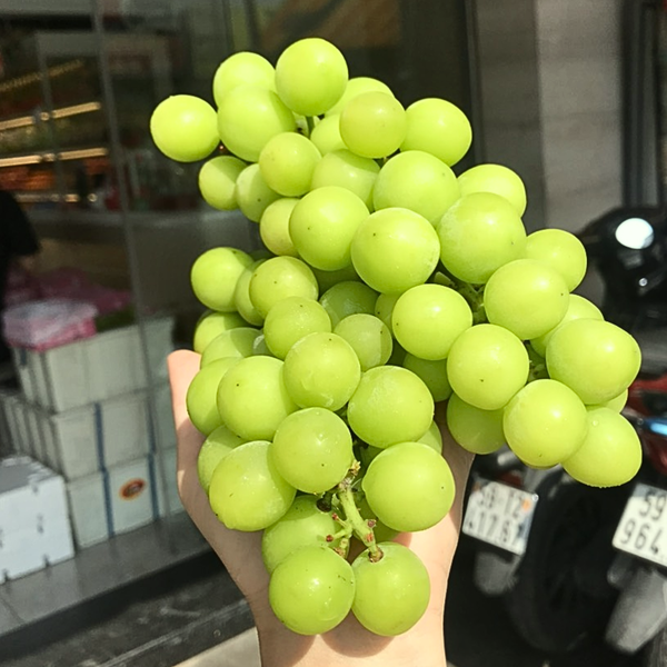 Trái Cây Tươi Ngon