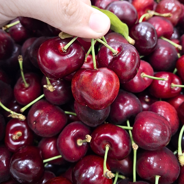 Trái Cây Tươi Ngon