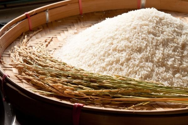 gạo st25 có mấy loại