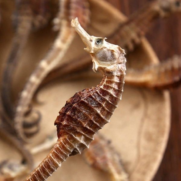 quà tặng sức khỏe​