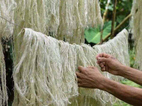 nguyên liệu dệt